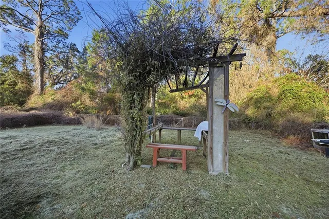 a view of a yard with a trees