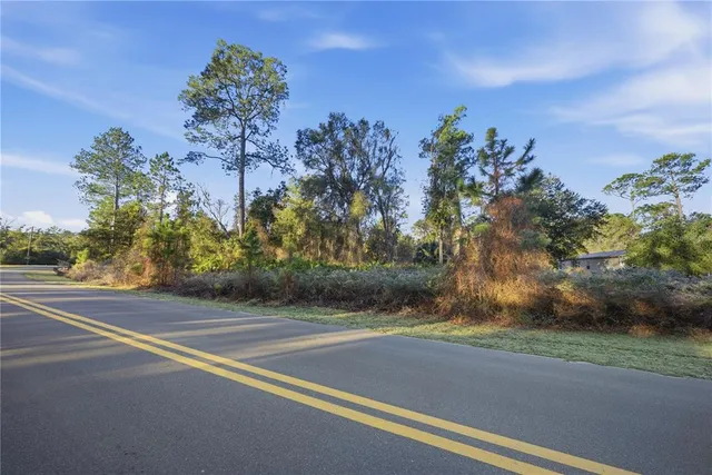 an outdoor view of a garden with flowers