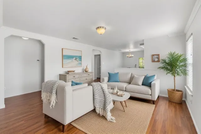 a living room with furniture and a potted plant