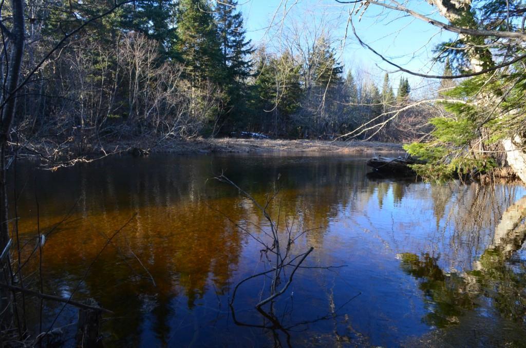 0 Park Street Springfield, ME 04487 - Photo 9 of 24 Photo