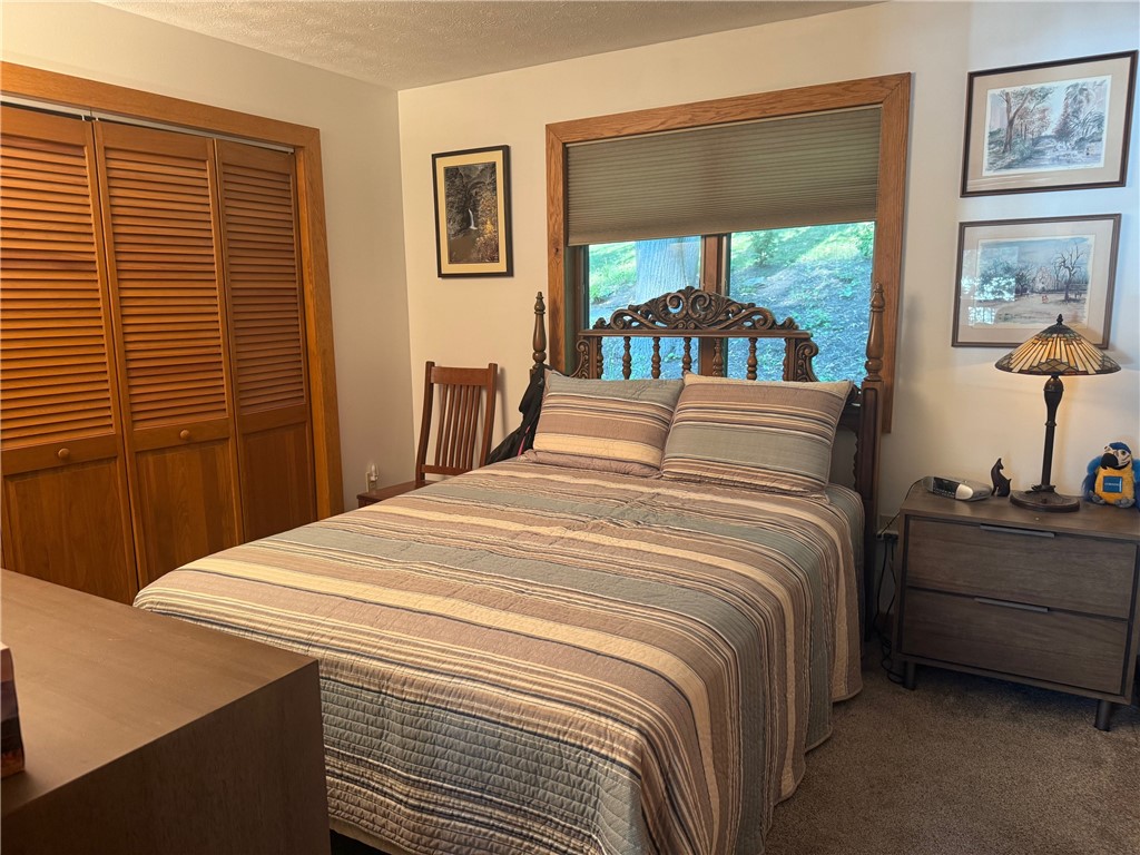 4761 Mason Road Burdett, NY 14818 - Photo 16 of 31