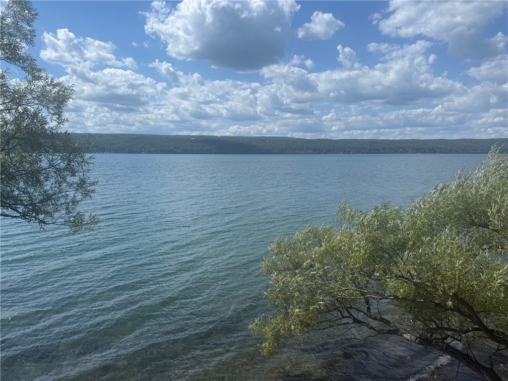 4761 Mason Road Burdett, NY 14818 - Photo 27 of 31