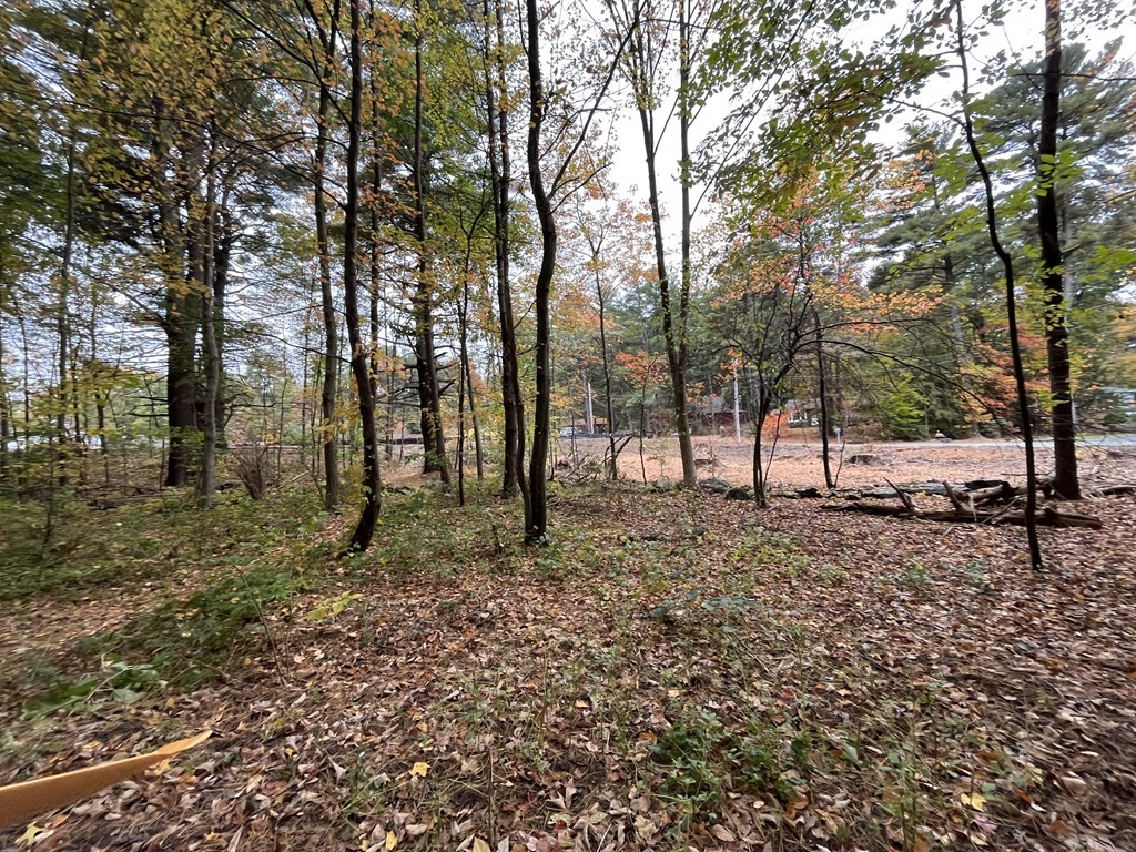 17 Nelson Point Road Shrewsbury, MA 01545 - Photo 2 of 2 a view of some trees in the forest