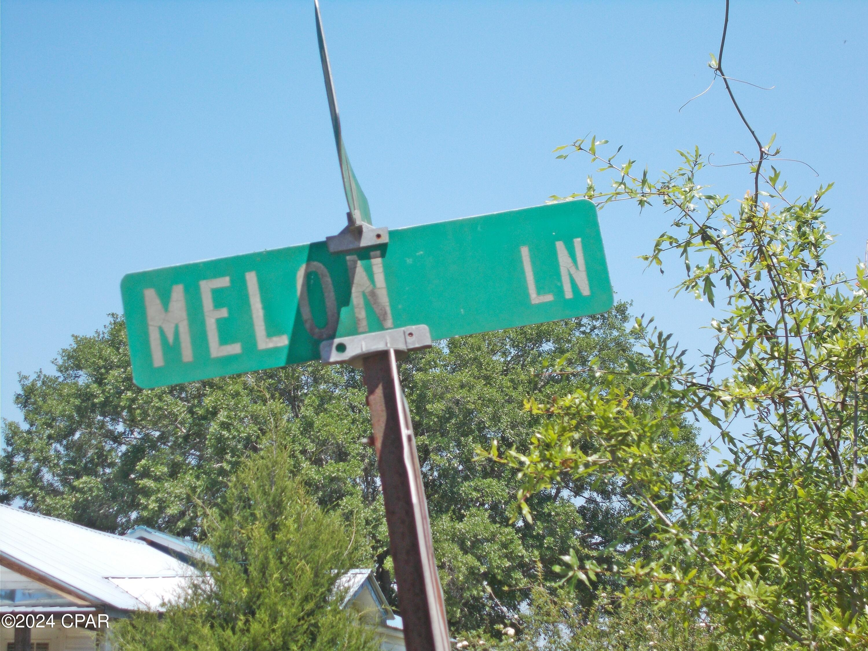 2-ac Melon Lane Grand Ridge, FL 32442 - Photo 12 of 14
