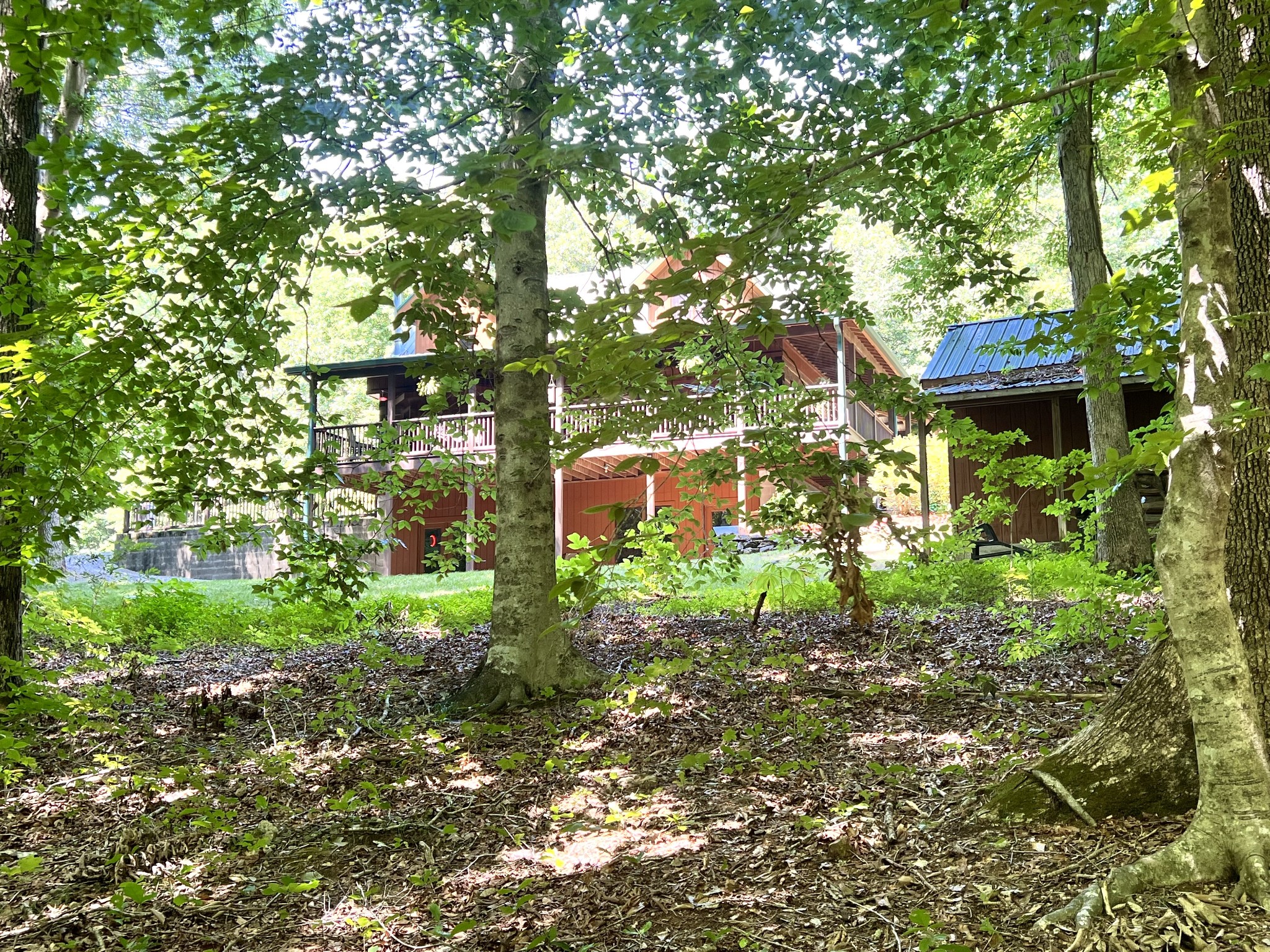 219 Freeland Road Portland, TN 37148 - Photo 8 of 53 a view of a back yard