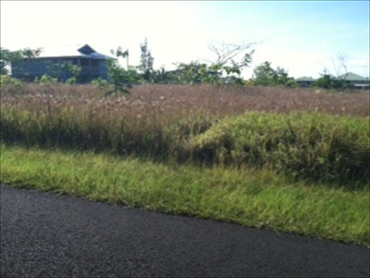 Eelekoa Street Pahoa, HI 96778 - Photo 2 of 6 a view of a lake with green space