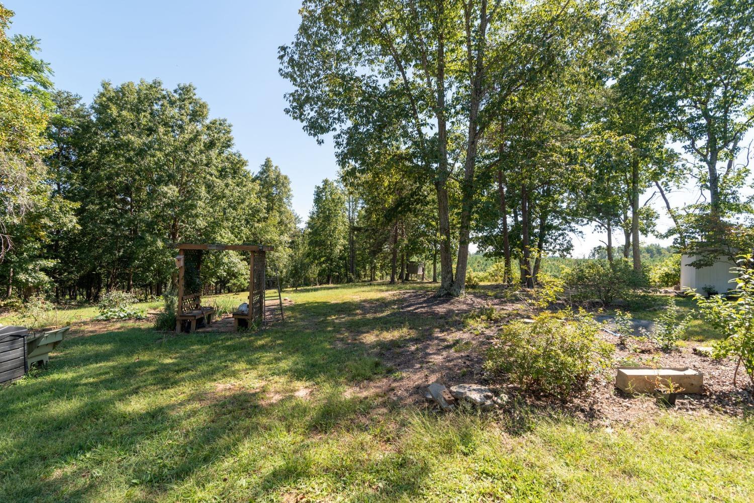349 Theta Mill Road Gladys, VA 24554 - Photo 34 of 48 a view of a tree in a yard