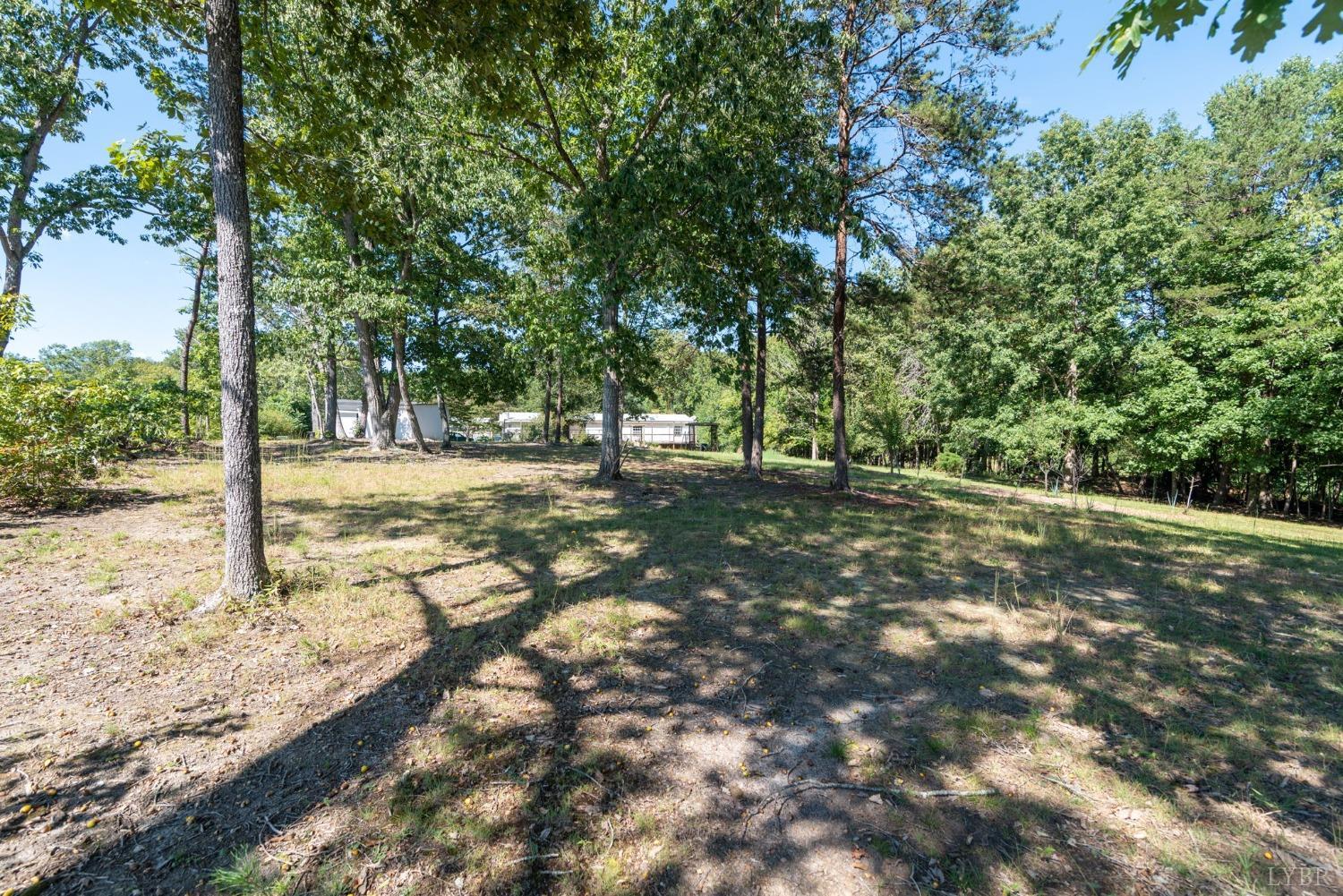 349 Theta Mill Road Gladys, VA 24554 - Photo 39 of 48 a view of a yard with trees