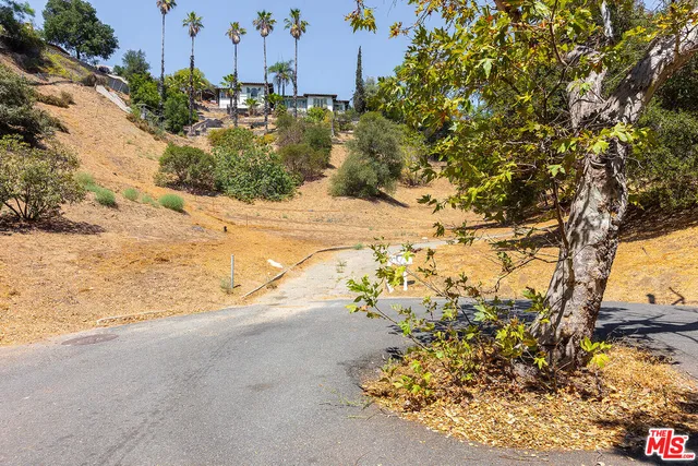 a view of a yard with a tree