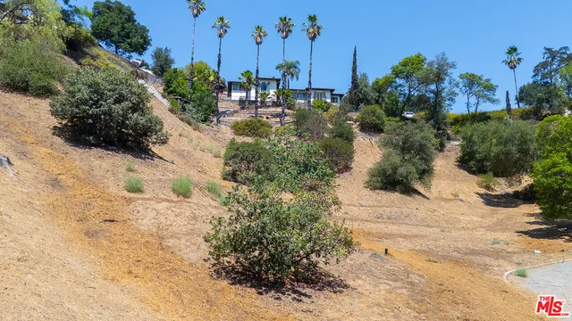 a view of a pathway with a yard