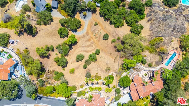 a picture of flowers