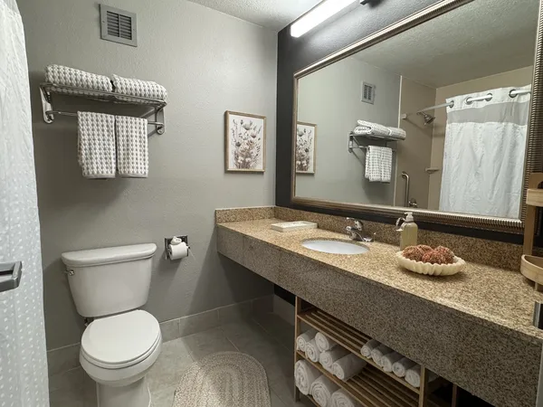 a bathroom with a granite countertop toilet sink and mirror