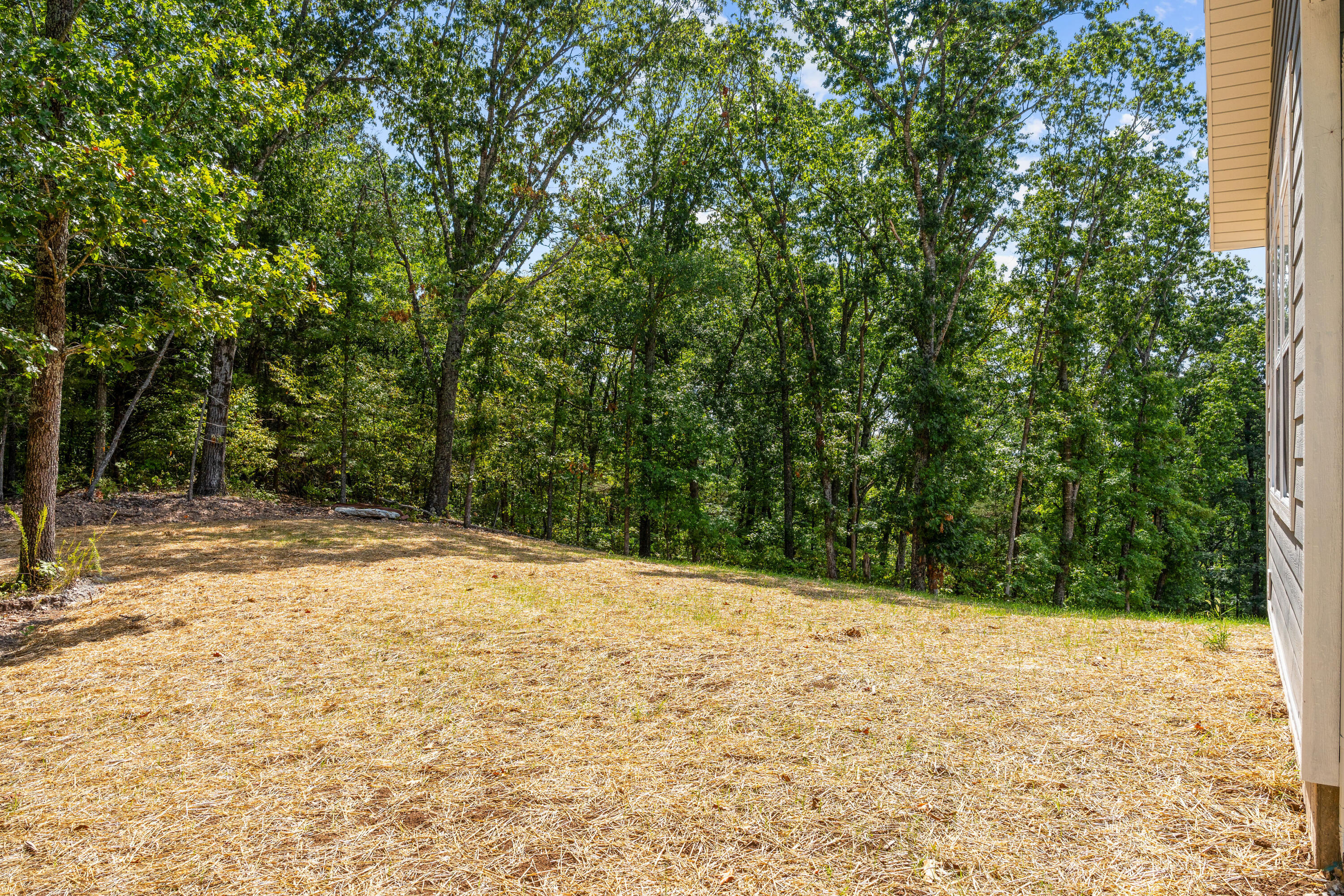 680 Highpoints Ridge Branson, MO 65616 - Photo 50 of 56 Back Yard Starting to Grow