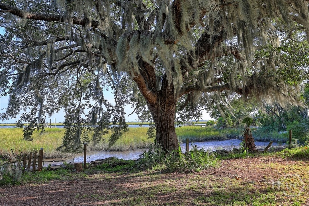 302 East Point Drive Savannah, GA 31410 - Photo 11 of 71