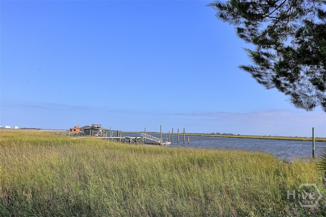 302 East Point Drive Savannah, GA 31410 - Photo 18 of 71