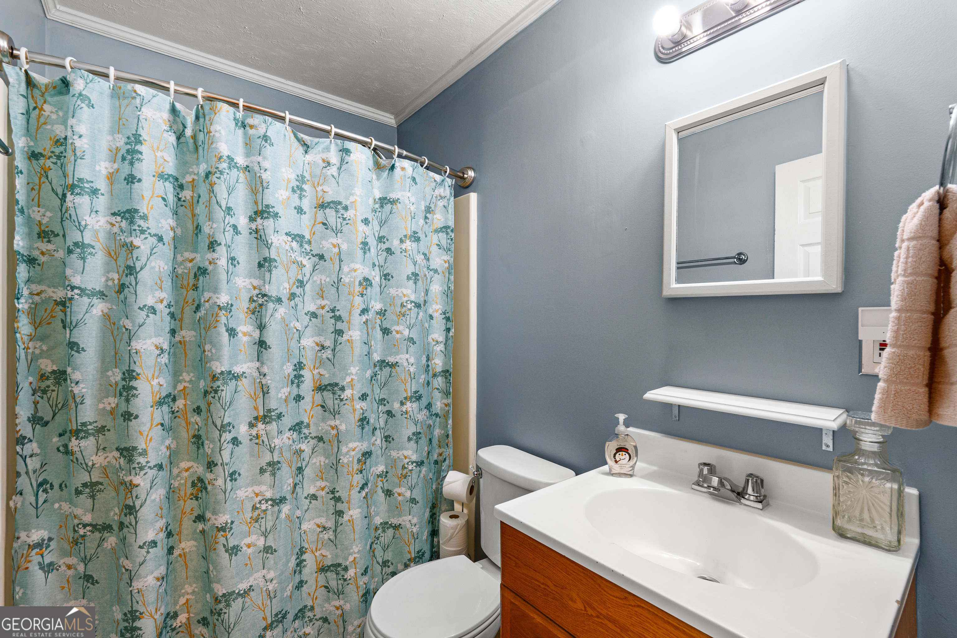 209 Boogers Hill Road Oxford, GA 30054 - Photo 28 of 44 a bathroom with a sink and a mirror
