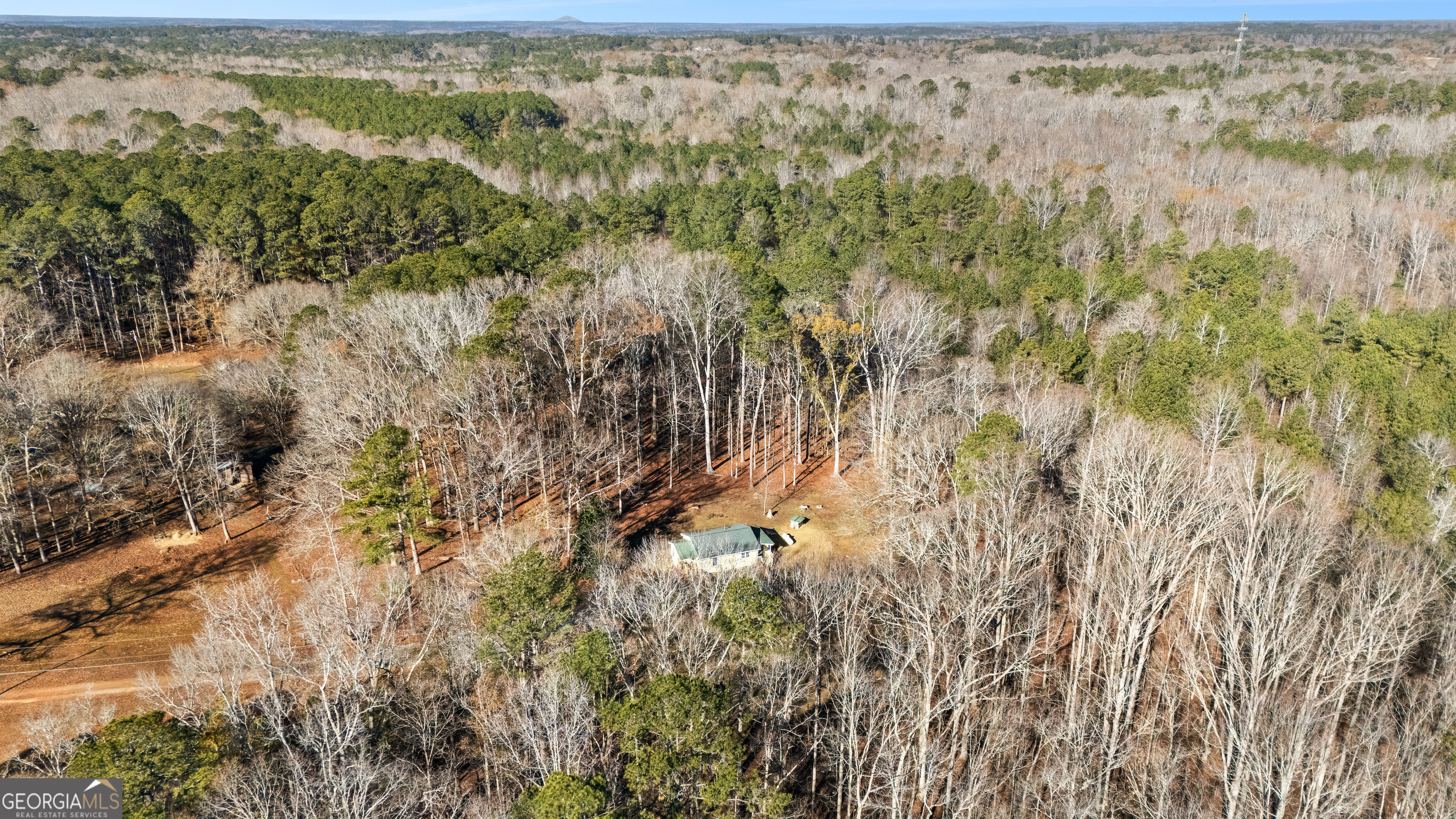 209 Boogers Hill Road Oxford, GA 30054 - Photo 4 of 44 a view of a forest with a lake