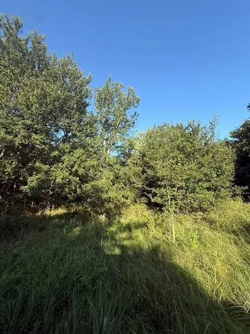 a view of a large yard with lots of bushes