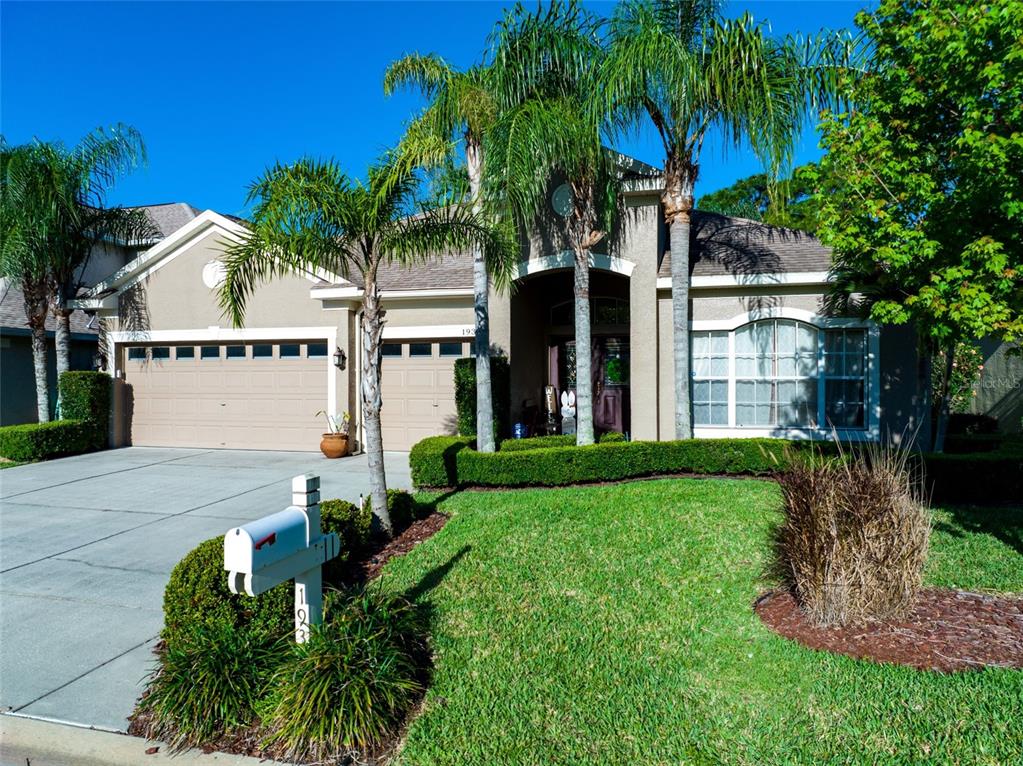1937 Blue River Road Holiday, FL 34691 - Photo 1 of 1 Gallery Image 1