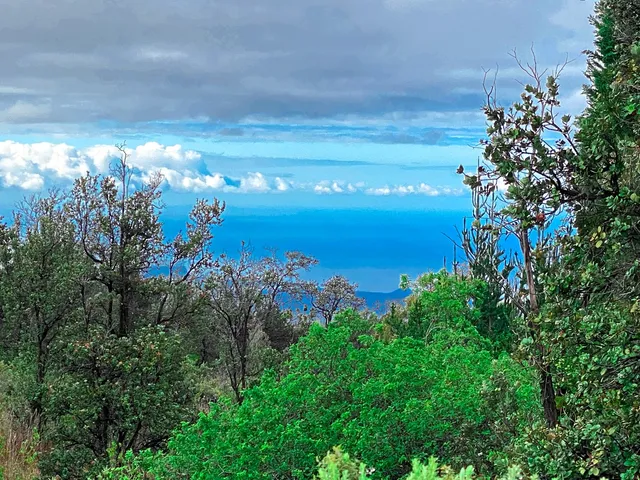 $19,500 | 92-2120 Lot 3 Kona Drive, Ocean View, HI 96704