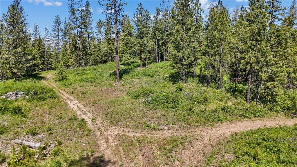 18-xxx East Miner Road Mead, WA 99021 - Photo 2 of 40