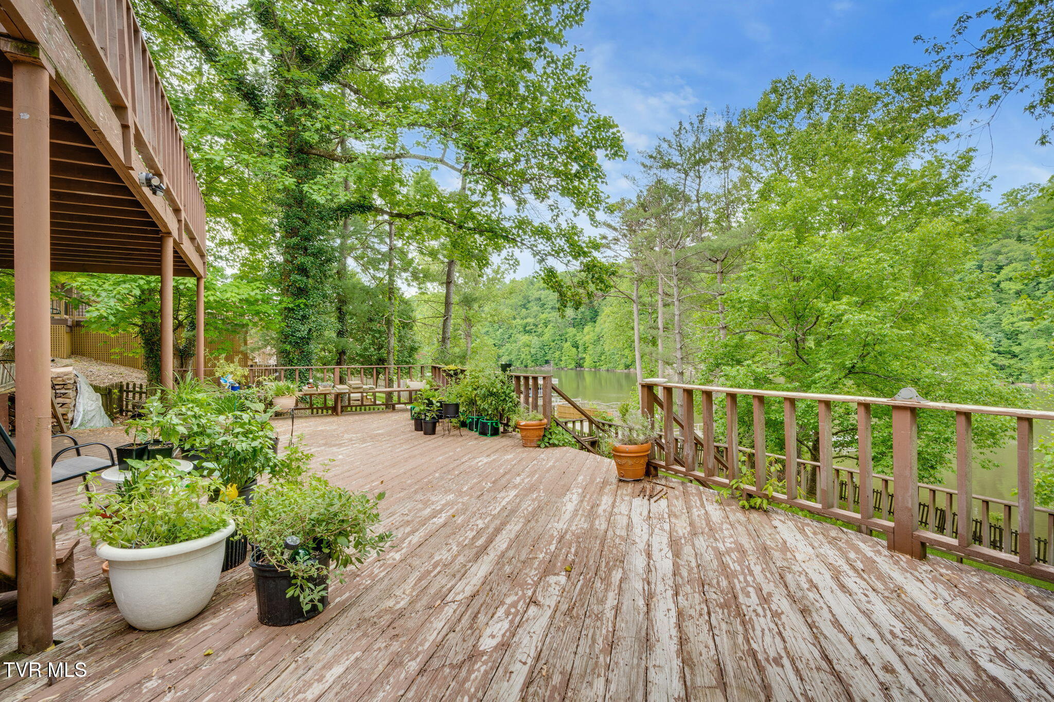 457 Lakeshore Road Bluff City, TN 37618 - Photo 37 of 58 036