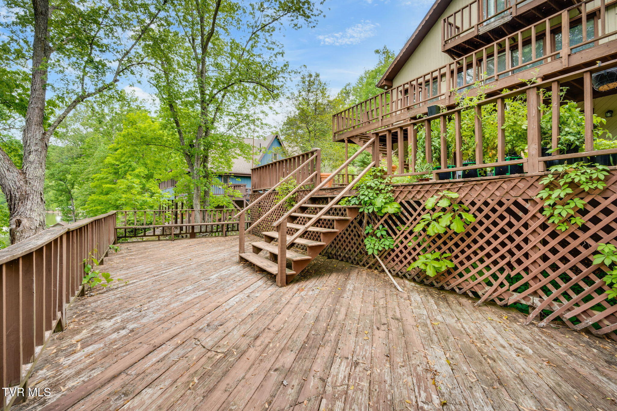 457 Lakeshore Road Bluff City, TN 37618 - Photo 41 of 58 040