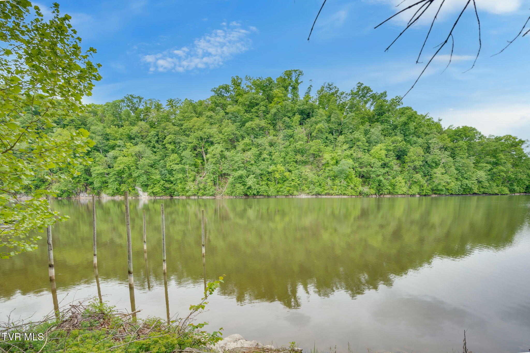 457 Lakeshore Road Bluff City, TN 37618 - Photo 43 of 58 042