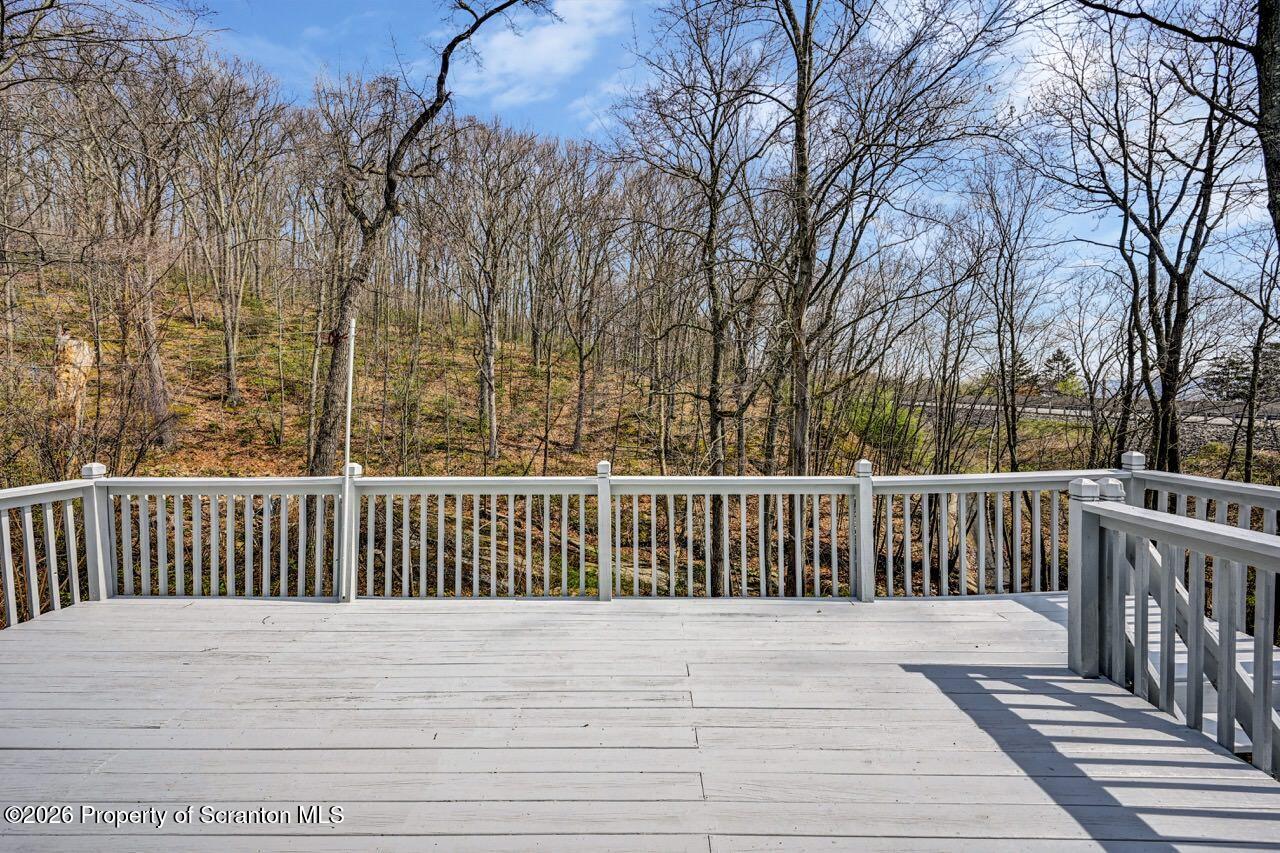 3032 1/2 Division Street Scranton, PA 18504 - Photo 39 of 49 a terrace view