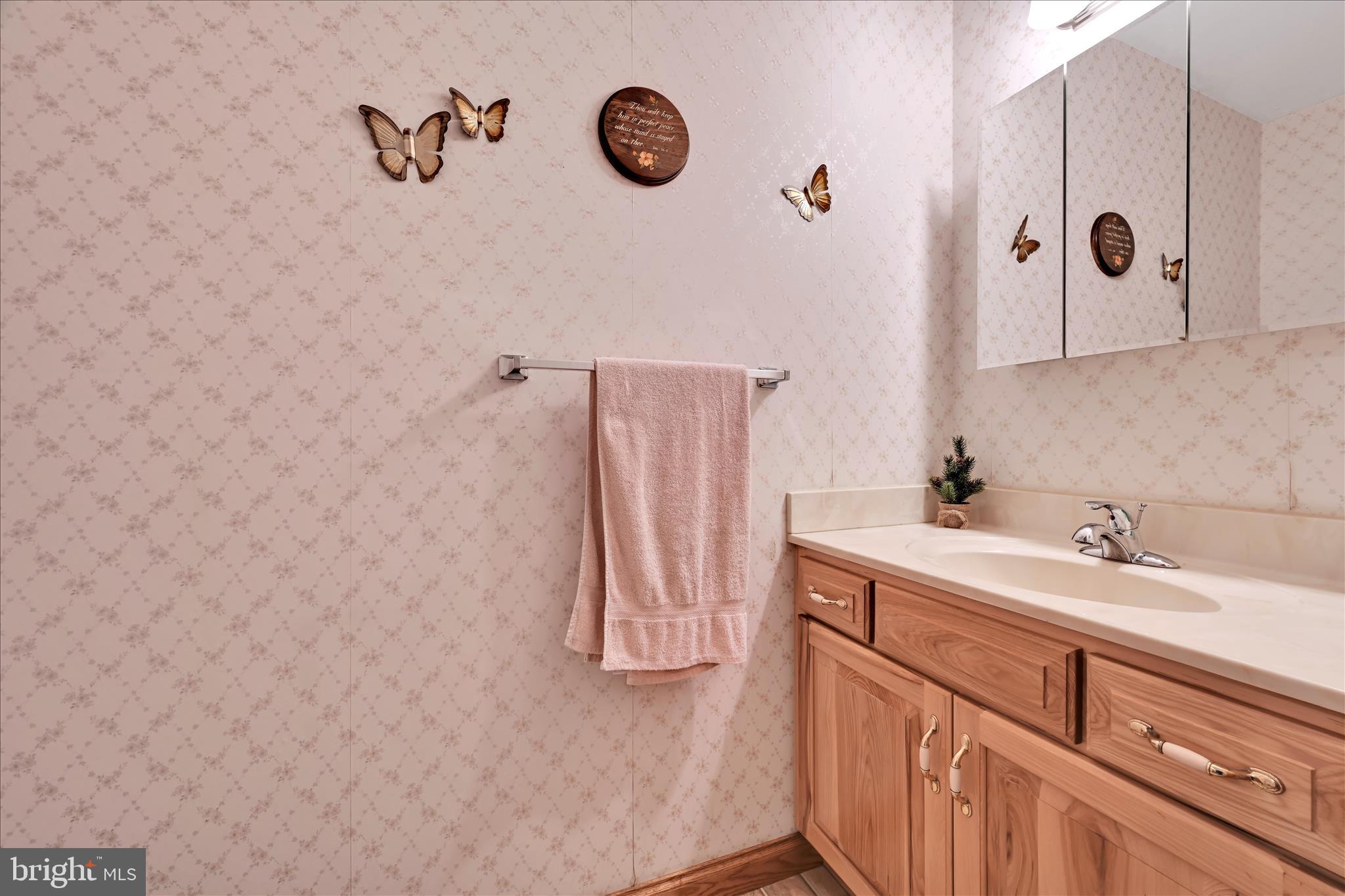 569 Texter Mountain Road Robesonia, PA 19551 - Photo 21 of 93 Powder Room