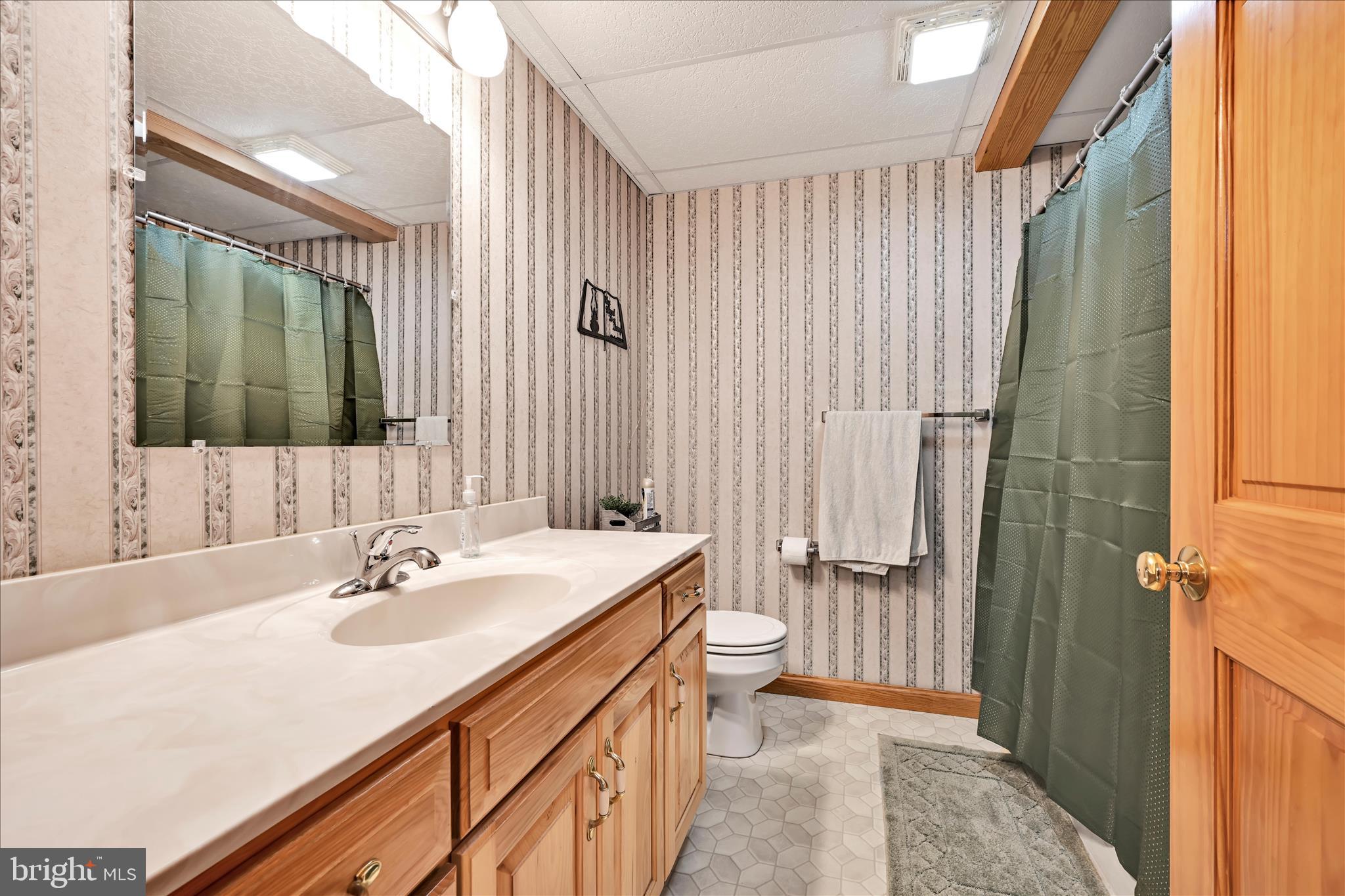 569 Texter Mountain Road Robesonia, PA 19551 - Photo 41 of 93 Bathroom