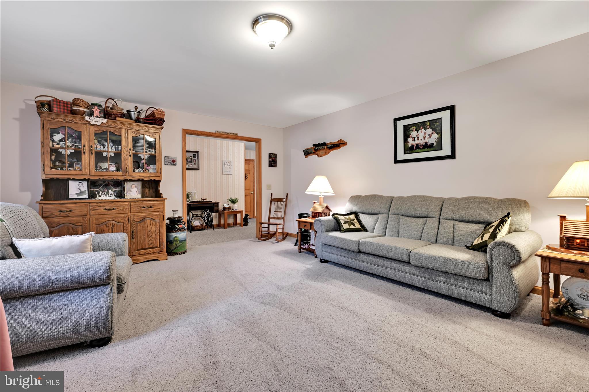 569 Texter Mountain Road Robesonia, PA 19551 - Photo 10 of 93 Living Room