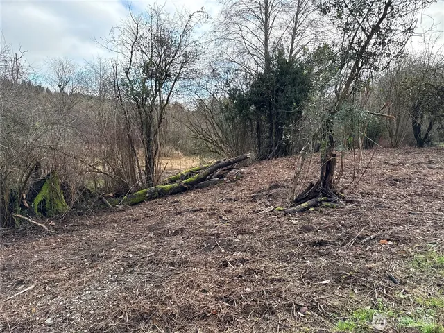 a view of a yard with lots of plants and trees