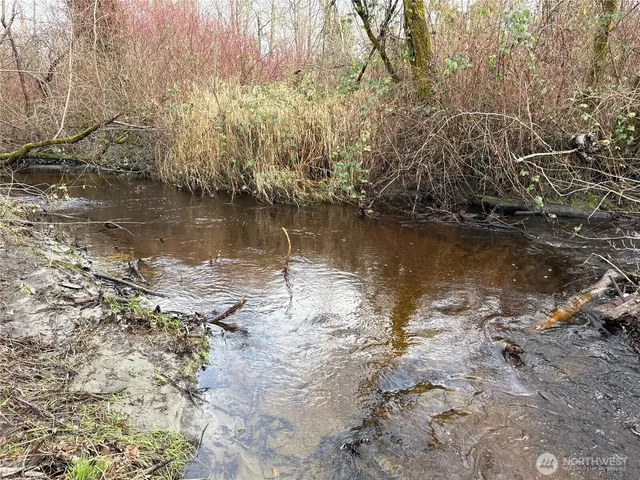 a green field with lots of bushes