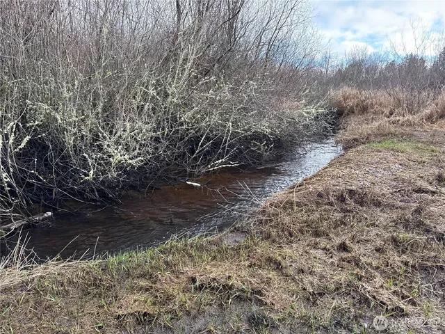 a view of a yard with trees