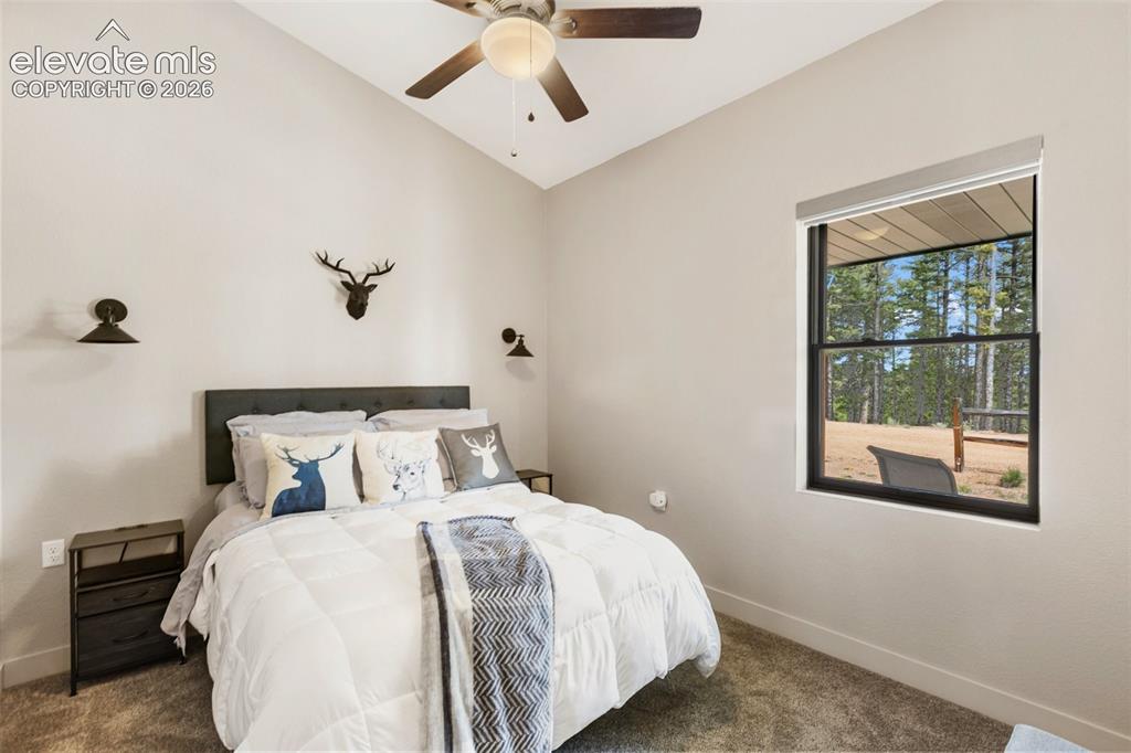 5542 N Road Divide, CO 80814 - Photo 28 of 50