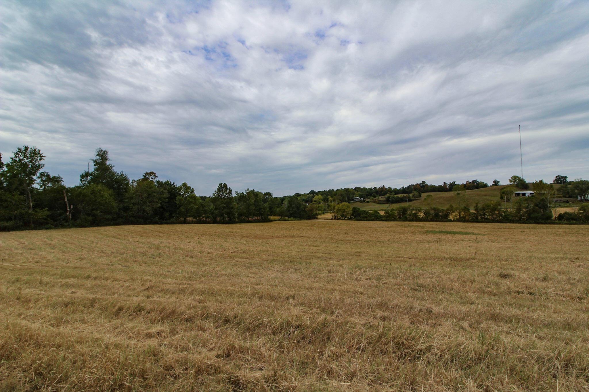 Lot 5 Gratiot Road Heath, OH 43056 - Photo 9 of 14 8-IMG_8921