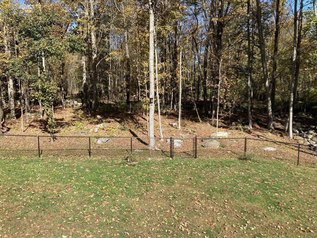 28 Spring Street Petersham, MA 01366 - Photo 23 of 31 a view of yard