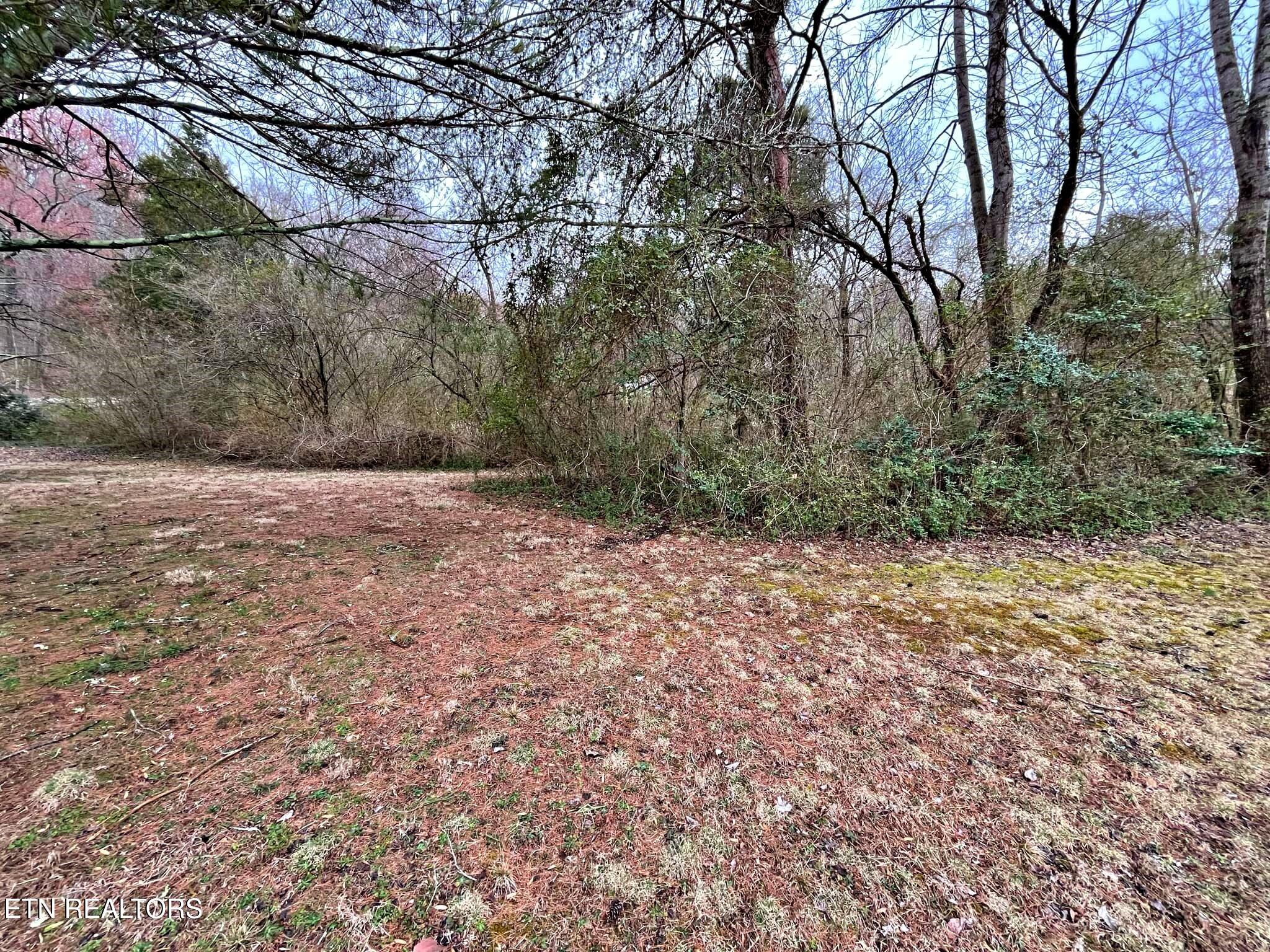 200 Rench Road Kingston, TN 37763 - Photo 36 of 47 b7500550-f1b2-49bb-87ec-20caa702a61f