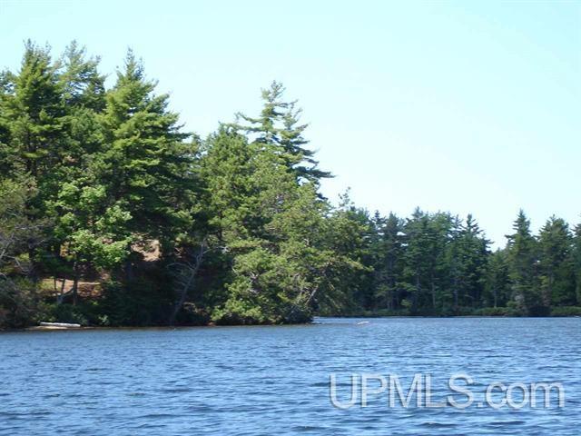 Tbd Gulliver Lake Road Gulliver, MI 49840 - Photo 4 of 15 Gallery Image 4