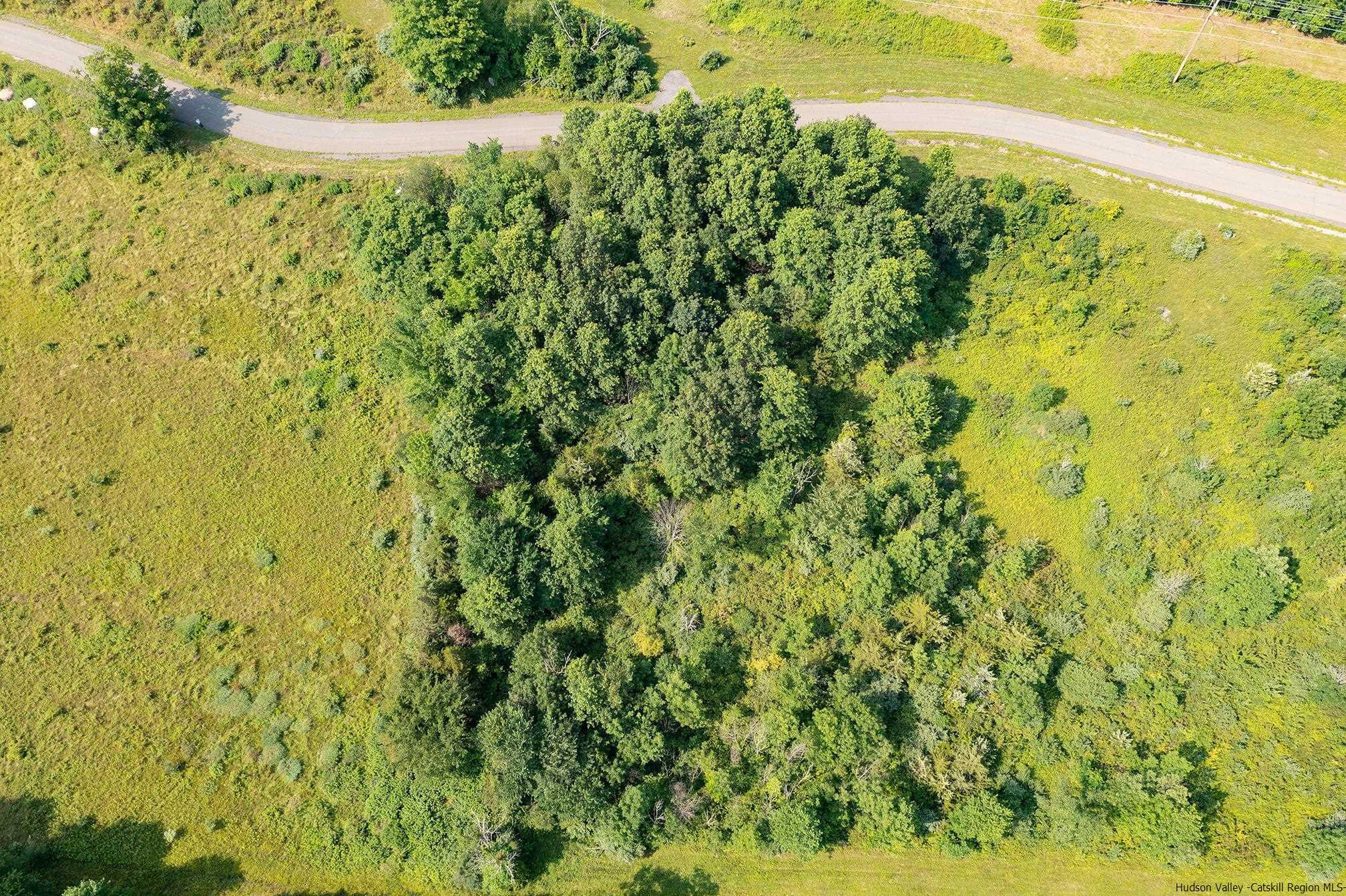 6 Misty Ridge Road Gardiner, NY 12525 - Photo 3 of 11