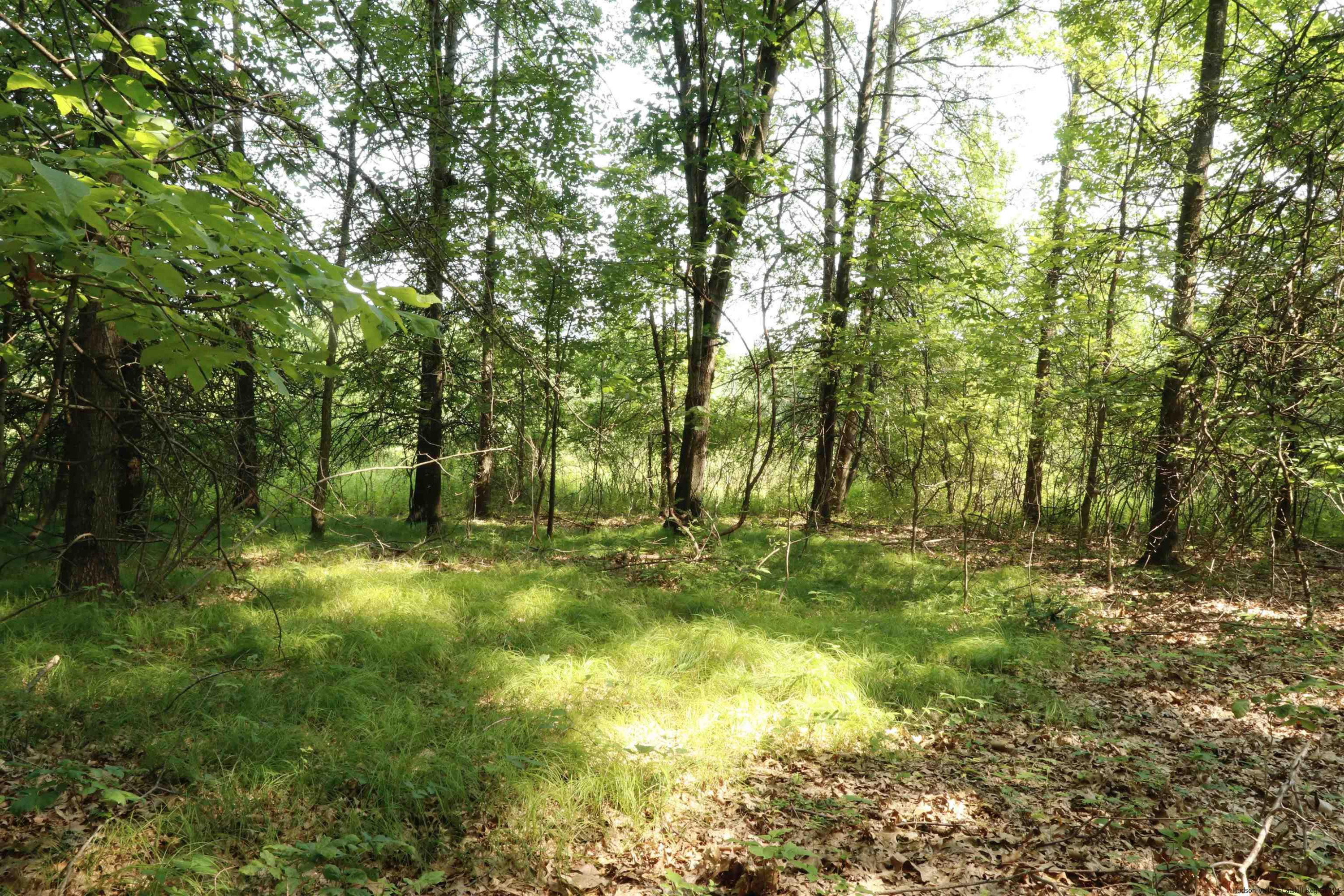 6 Misty Ridge Road Gardiner, NY 12525 - Photo 5 of 11 a view of yard with green space