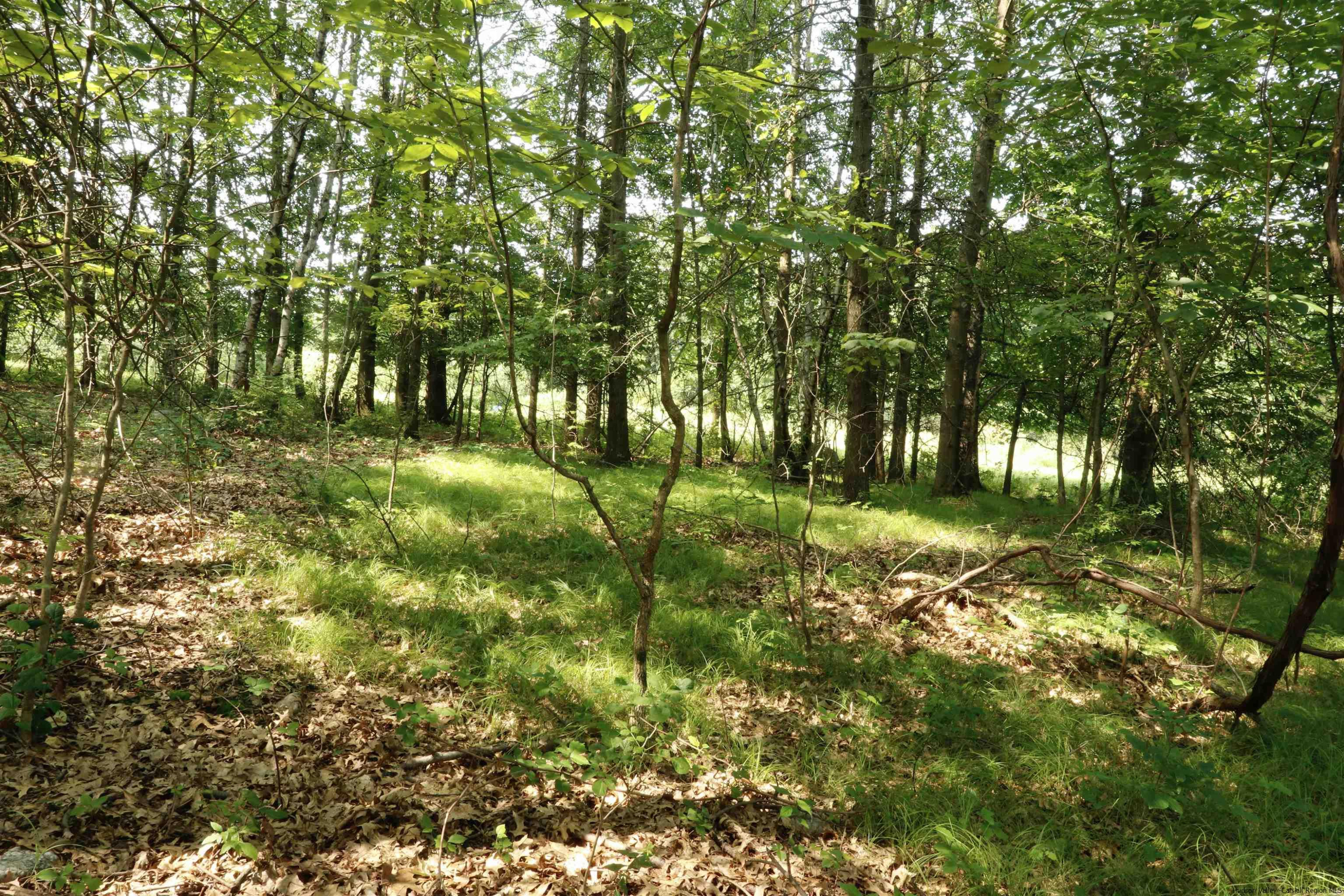 6 Misty Ridge Road Gardiner, NY 12525 - Photo 6 of 11 a backyard of a house with lots of green space