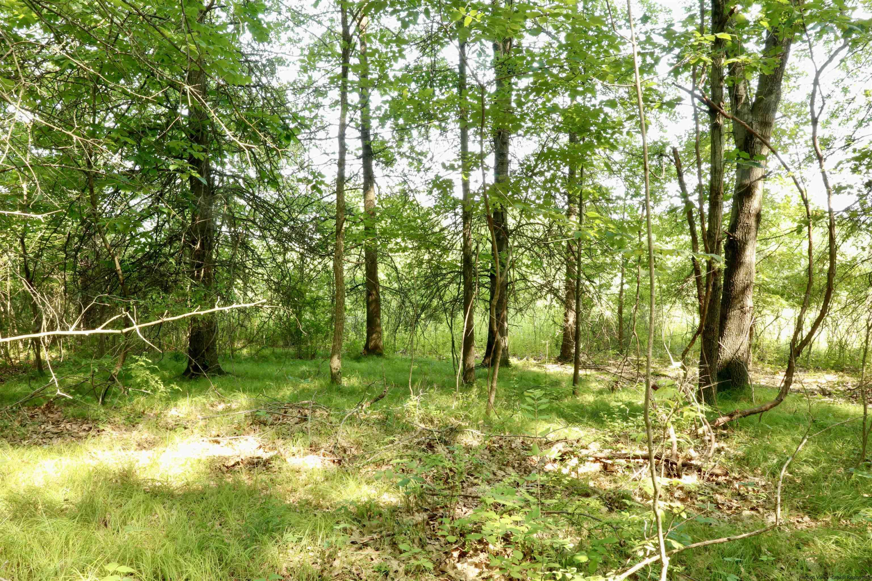6 Misty Ridge Road Gardiner, NY 12525 - Photo 7 of 11 a backyard of a house with lots of green space and outdoor seating