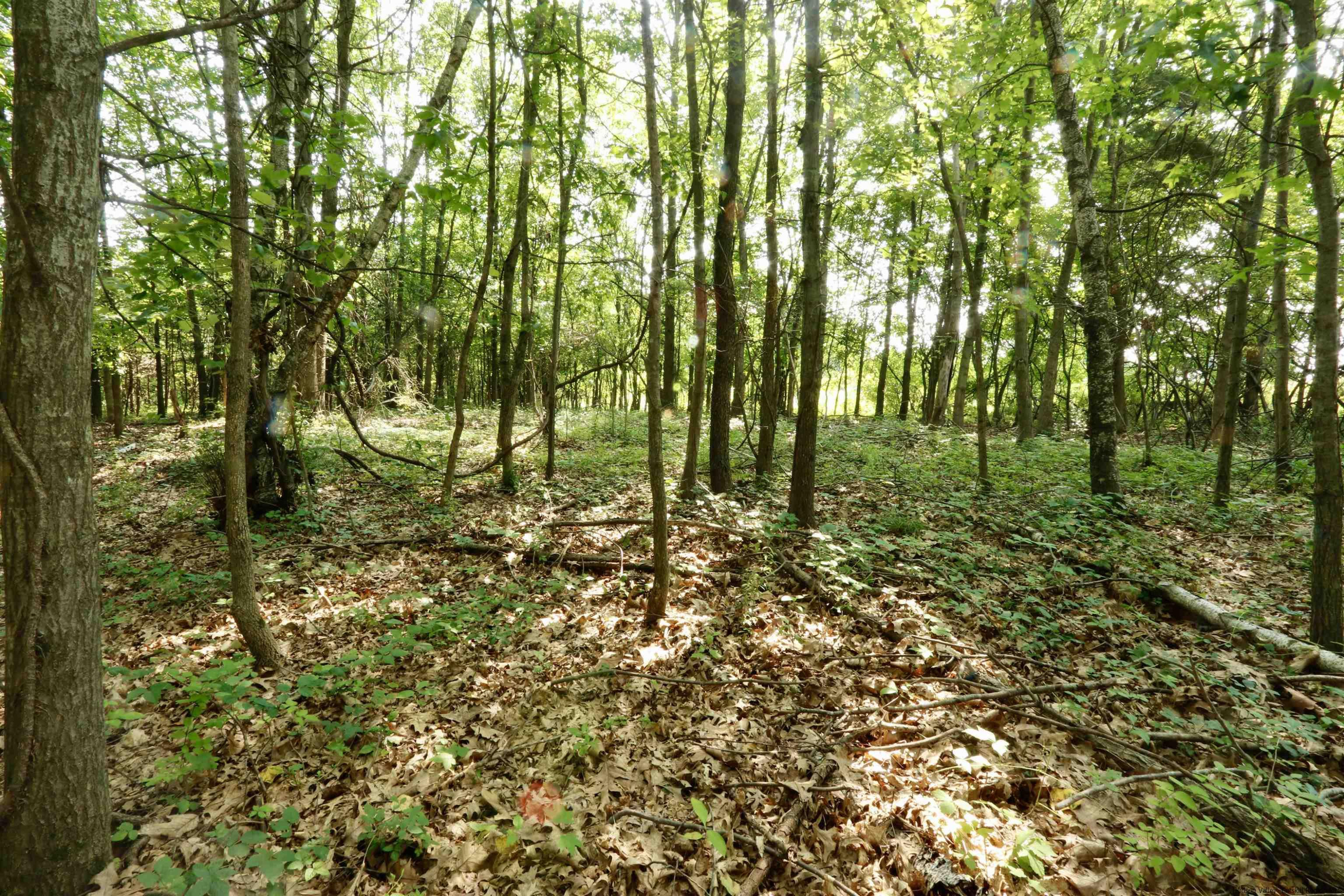 6 Misty Ridge Road Gardiner, NY 12525 - Photo 9 of 11 a view of yard