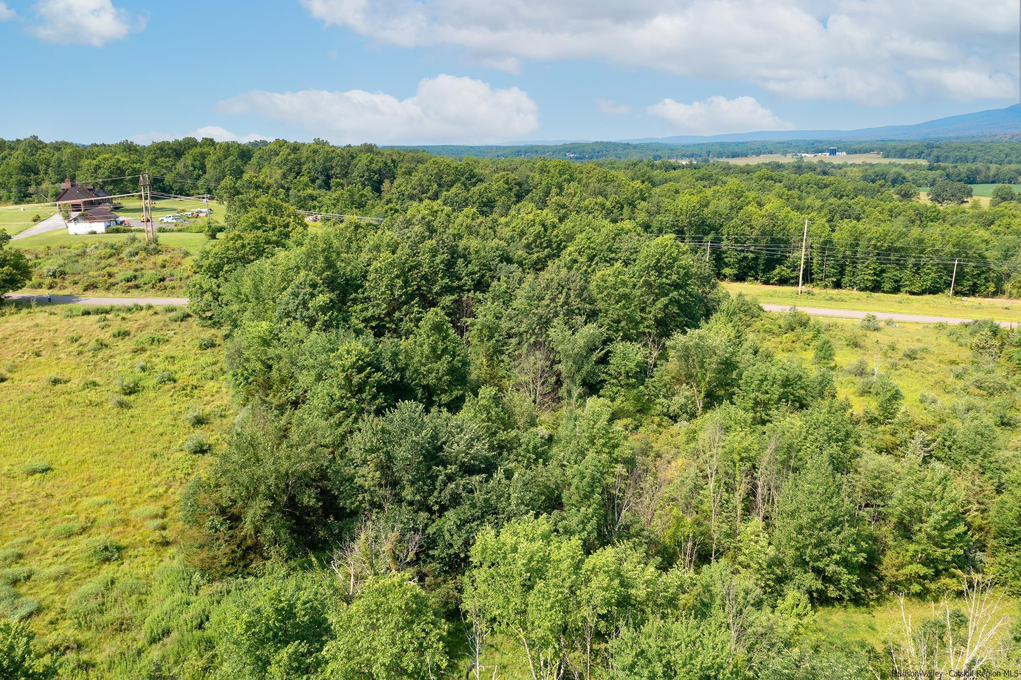 6 Misty Ridge Road Gardiner, NY 12525 - Photo 10 of 11 a view of a green field with lots of bushes
