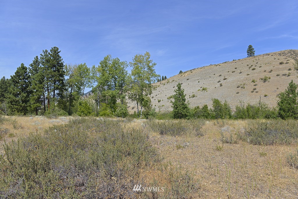 2 Arrowhead Road Winthrop, WA 98862 - Photo 13 of 21 Gallery Image 13