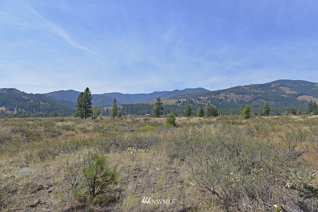 2 Arrowhead Road Winthrop, WA 98862 - Photo 15 of 21 Gallery Image 15
