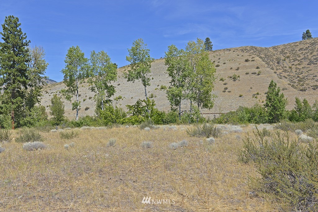 2 Arrowhead Road Winthrop, WA 98862 - Photo 16 of 21 Gallery Image 16