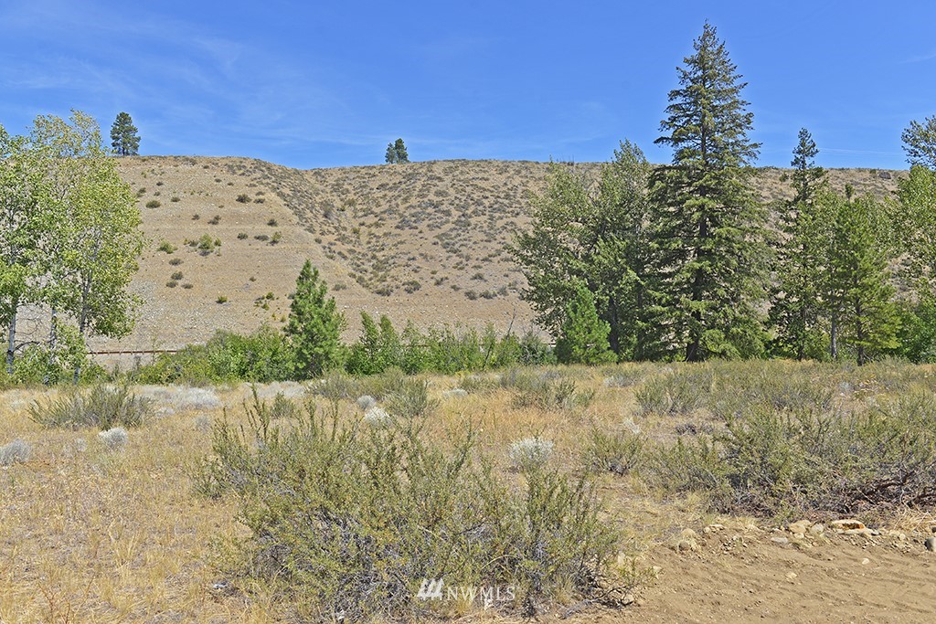 2 Arrowhead Road Winthrop, WA 98862 - Photo 17 of 21 Gallery Image 17